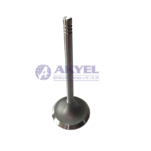 PERKINS,INTAKE VALVE