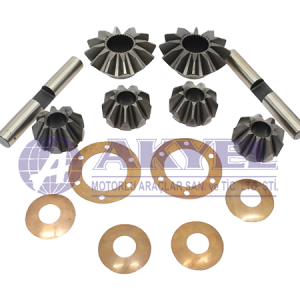 DIFFERENTIAL GEAR SET