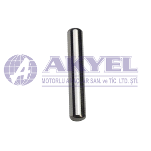 NEW HOLLAND,AXLE NEEDLE BEARING - Görsel 1