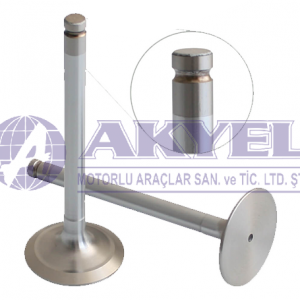 NEW HOLLAND,VALVE INTAKE