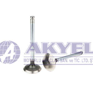 ENGINE VALVE IN
