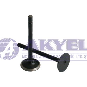 ENGINE VALVE EX