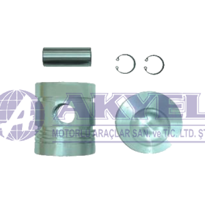 MASSEY FERGUSON, PISTON AND PIN