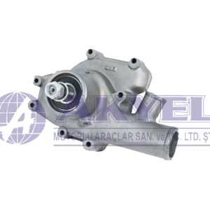 MASSEY FERGUSON, WATER PUMP W/ DOUBLE PULLEY (