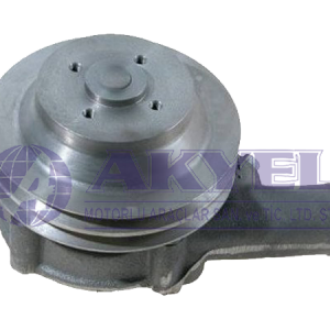 MASSEY FERGUSON, WATER PUMP W/DOUBLE PULLEY