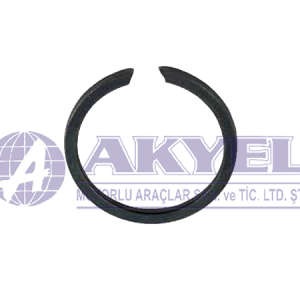 MASSEY FERGUSON, RING