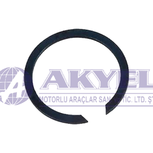 MASSEY FERGUSON, RING