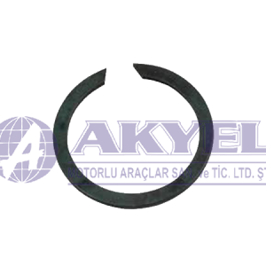 MASSEY FERGUSON, RING-MAIN SHAFT