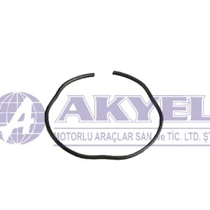 MASSEY FERGUSON, RING-GEAR CARRIER