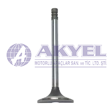 CATERPILLAR,C9 VALVE EX